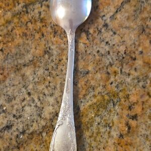 Elegant Silver Spoon